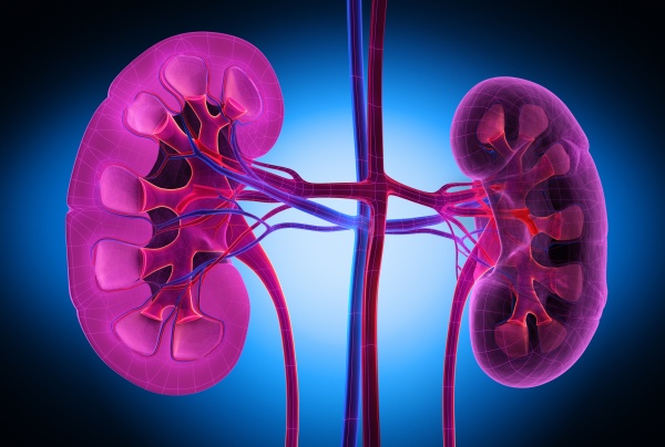 Diabetes and Kidney Care
